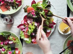Dr. Stephen Feig- Foods
