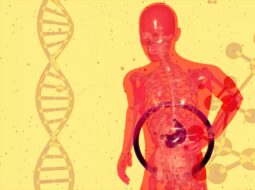gut health issues