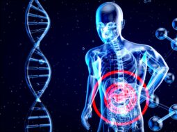 The Hidden Link Between Gut Health and Whole-Body Wellness