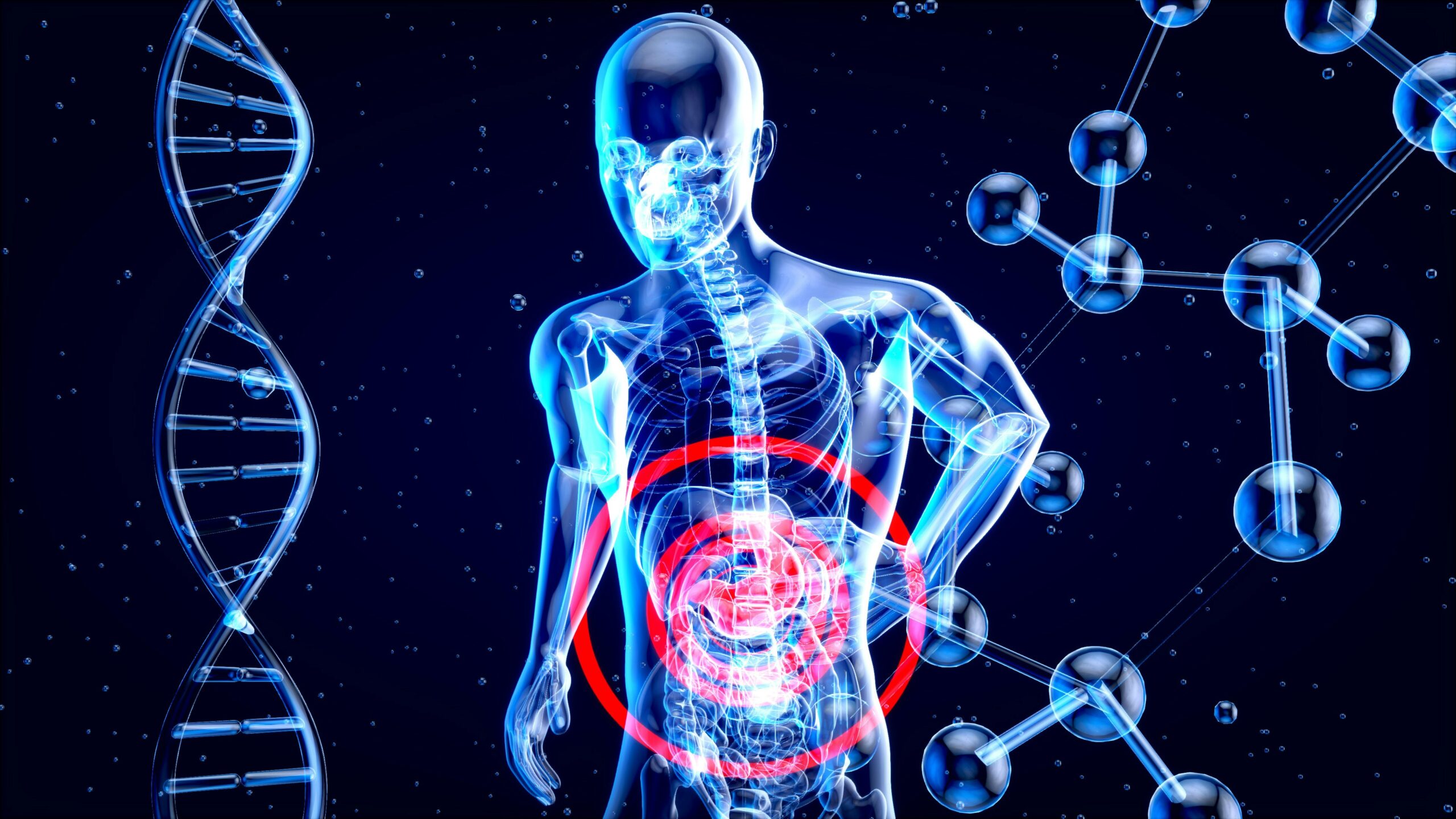 The Hidden Link Between Gut Health and Whole-Body Wellness