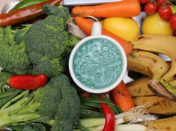 Everyday Foods That Promote a Balanced Microbiome