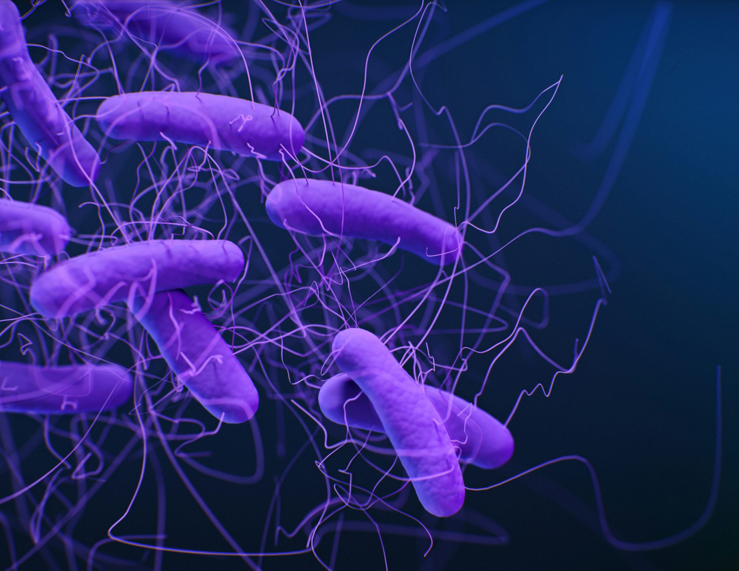 gut-friendly-eating-common-foods-that-help-create-a-balanced-microbiome