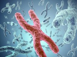 gut-microbiome-nutrition-blueprint-everyday-foods-that-build-digestive-balance-and-lasting-wellness