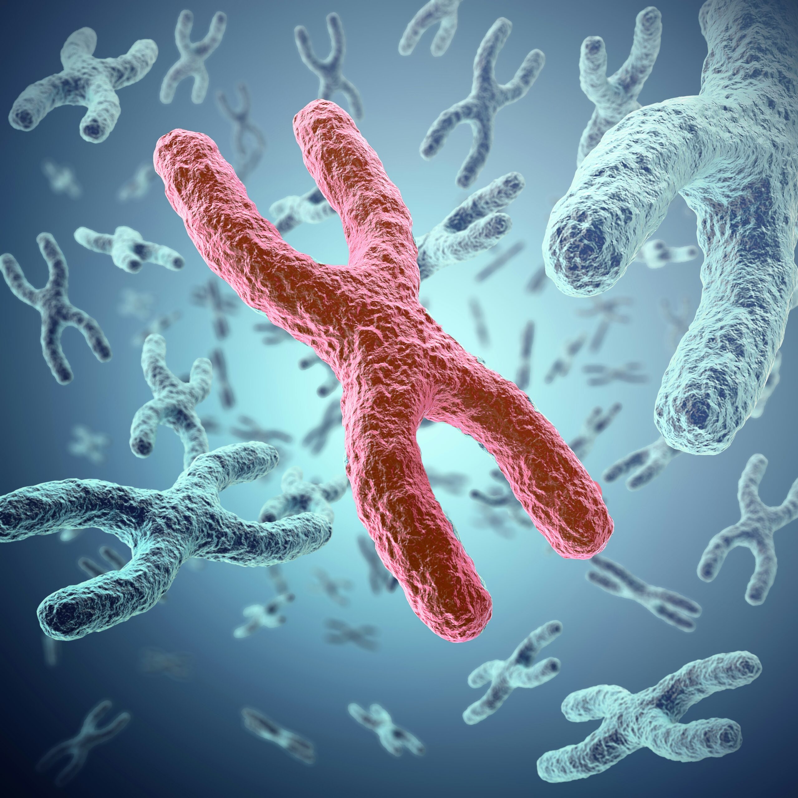 gut-microbiome-nutrition-blueprint-everyday-foods-that-build-digestive-balance-and-lasting-wellness